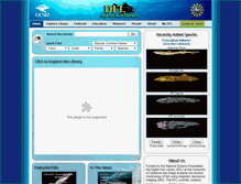 Tablet Screenshot of digitalfishlibrary.org